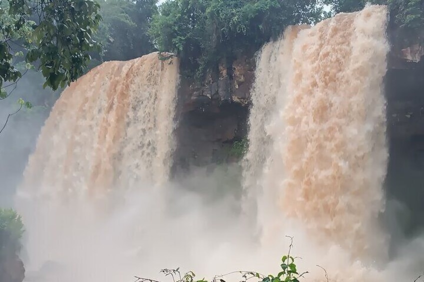 Private Tour in Brazilian Side Falls and Bird Park 