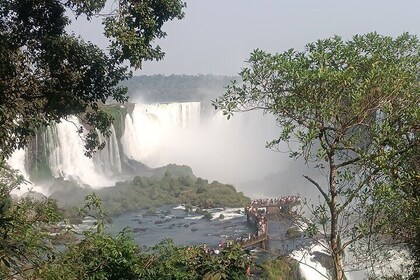 Private Tour in Brazilian Side Falls and Bird Park