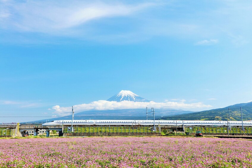 Tokyo to Kyoto Bullet Train Shinkansen Tickets