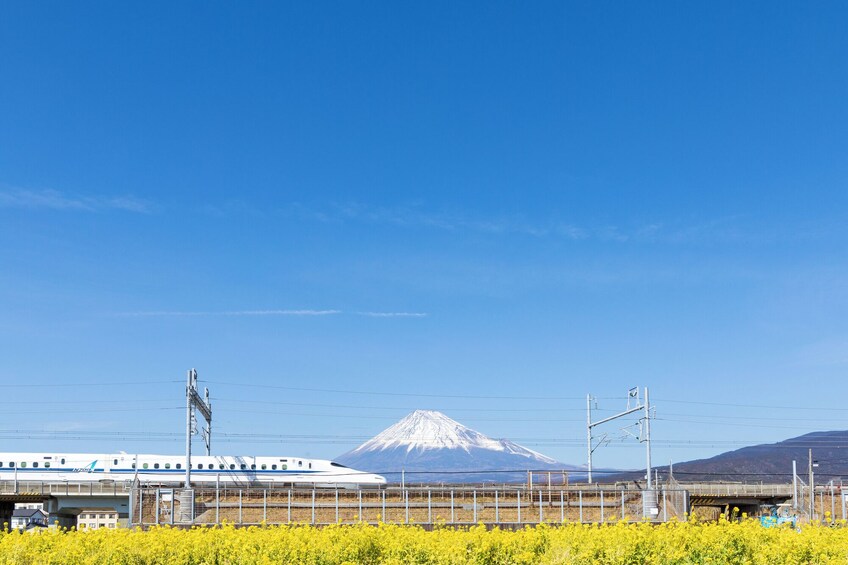 Tokyo to Kyoto Bullet Train Shinkansen Tickets