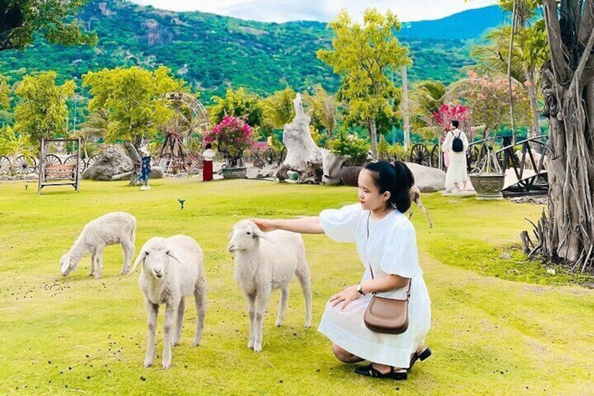 Rai Cave Grape Farm Sheep Field Nha Trang Adventure Tour