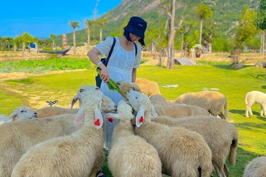 Rai Cave Grape Farm Sheep Field Nha Trang Adventure Tour