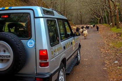 Jeep Safari 4x4 Madeira Pico areeiro, Santana, Ponta Sao Lourenço