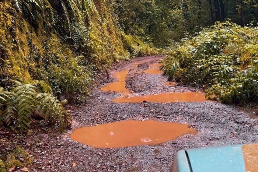 Jeep Safari 4x4 Madeira Pico areeiro, Santana, Ponta Sao Lourenço