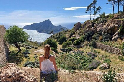 5 hours Mallorca hiking tour in Castell d Alaro