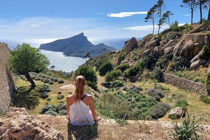  5 hours Mallorca hiking tour in Castell d Alaro 