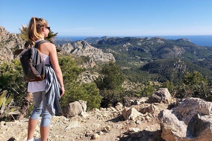  5 hours Mallorca hiking tour in Castell d Alaro 