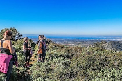 Escursione di 5 ore a Maiorca a Castell d'Alaro
