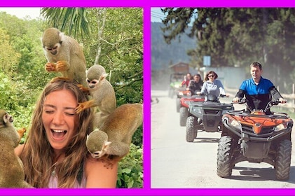 ATV four wheelers and quad bike tour Plus Monkeys in puerto plata