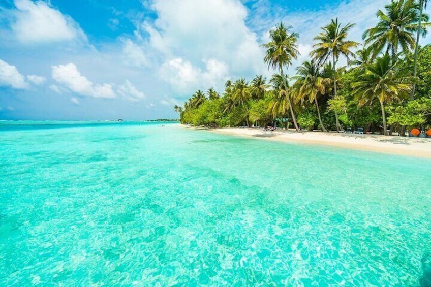 Private Tour Paradise Island & Mangroves with Lunch and Pick up