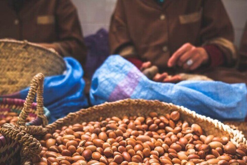 Taghazout Argan Oil Extraction Workshop