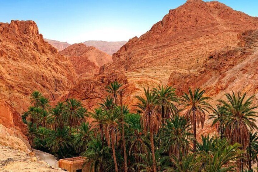 Immerse yourself in the Serenity of Southern Tunisia