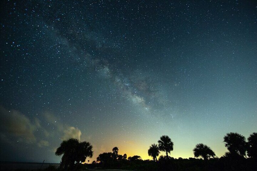 Florida Bioluminescence Clear Kayak Tour | Cocoa Beach (Kiwanis Island)