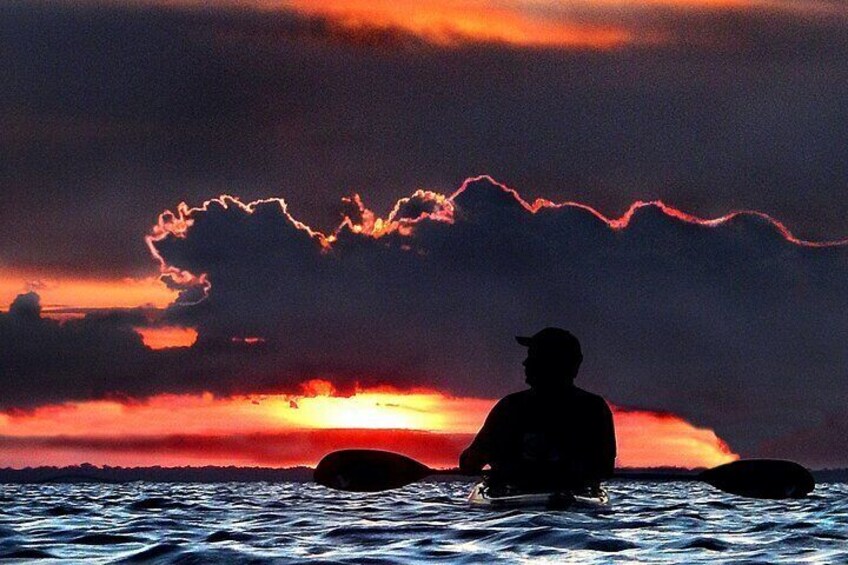 Florida Bioluminescence Clear Kayak Tour | Cocoa Beach (Kiwanis Island)