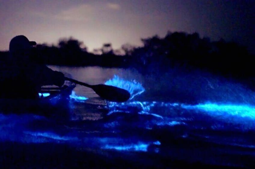 Florida Bioluminescence Clear Kayak Tour | Cocoa Beach (Kiwanis Island)