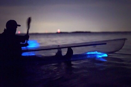 Florida Bioluminescence Clear Kayak Tour | Cocoa Beach (Kiwanis Island)