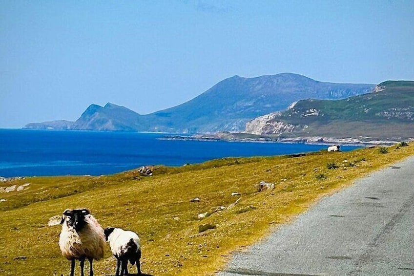 Achill coastal cycle wild Atlantic way 