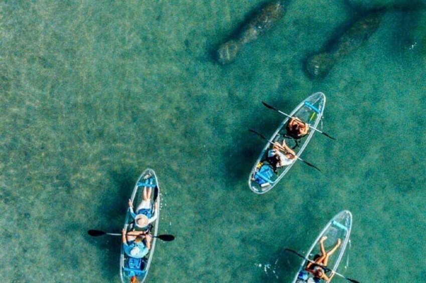 Clear Kayak Peanut Island Guided Tour West Palm Beach