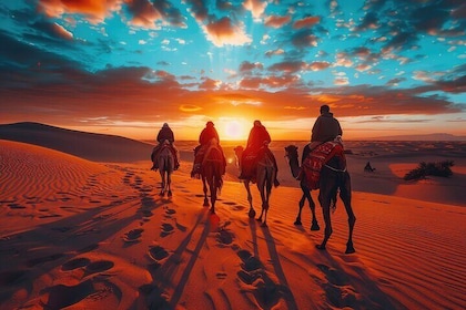 3 Day Luxury Tour from Marrakech to Fes over the Sahara Desert