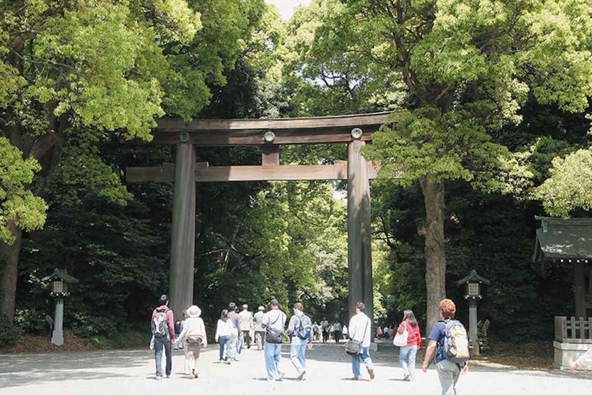 Picture 4 for Activity Tokyo :1-Day Bus Tour w/Lunch,Meiji Shrine, Tokyos Main Spot