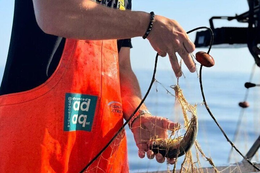 Cefalu' Fishing Boat Tour with Lunch on Board