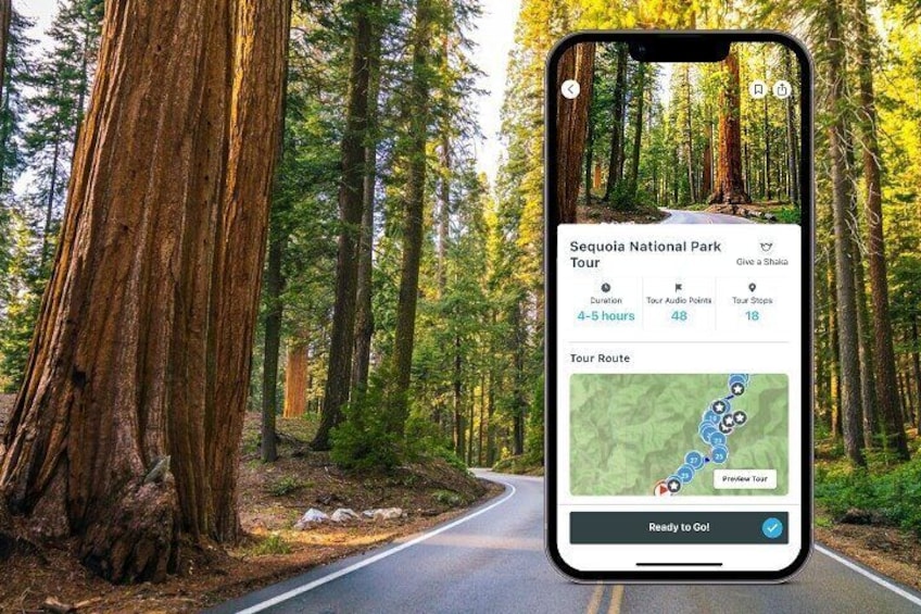 Sequoia National Park Audio Tour Guide