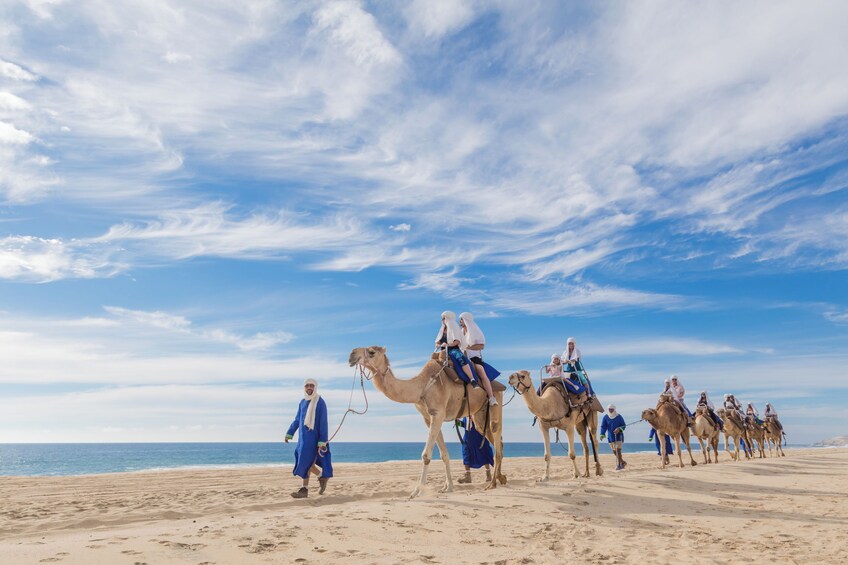 Sunset Camel Safari with Mexican buffet, Tequila and beach bonfire