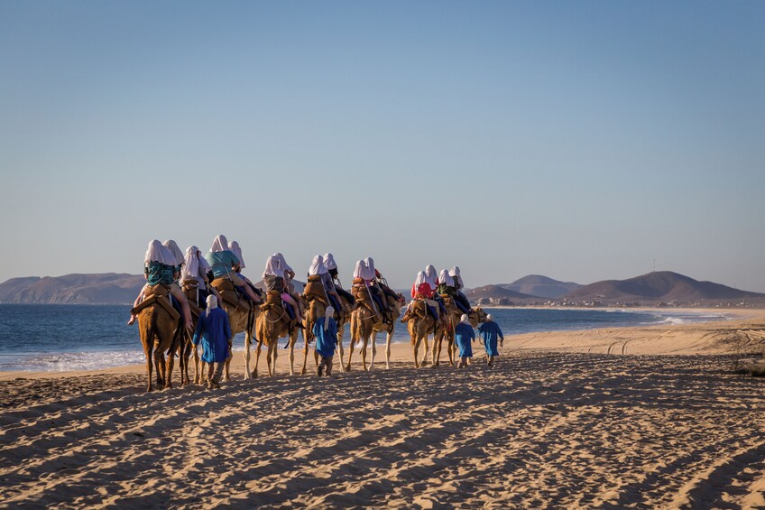 Sunset Camel Safari with Mexican buffet, Tequila and beach bonfire