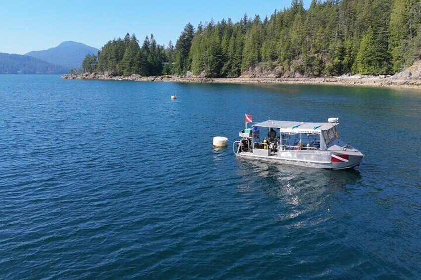 Discover the Best Diving Spots in Vancouver by Boat