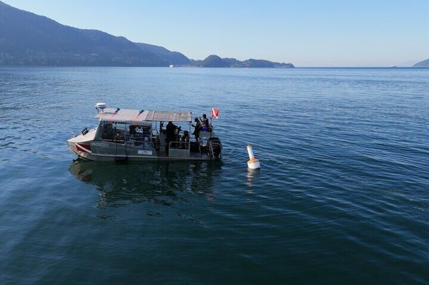 Discover the Best Diving Spots in Vancouver by Boat