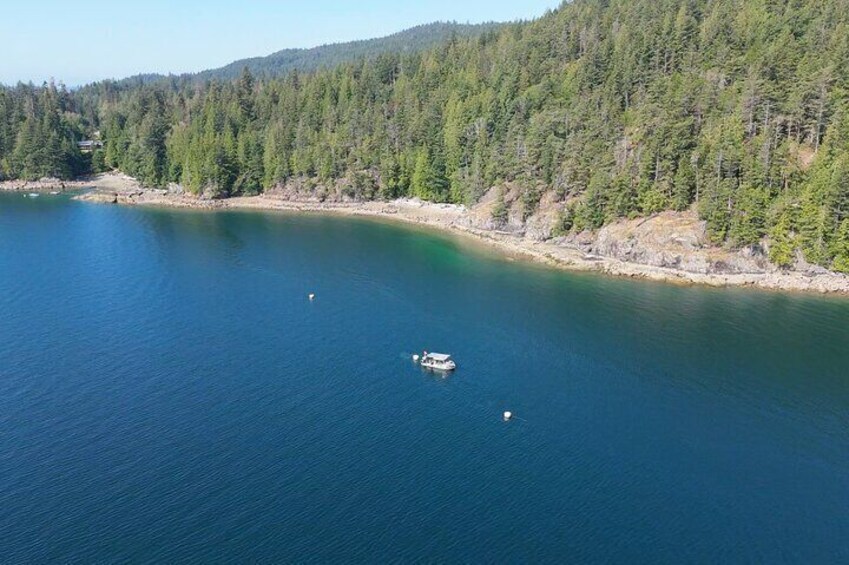 Discover the Best Diving Spots in Vancouver by Boat