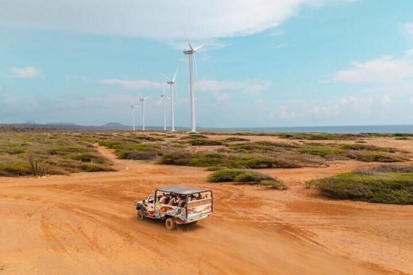 West Island & Beach Safari