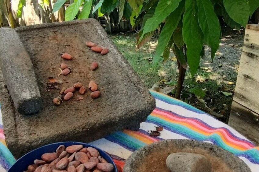 Sayulita: Guided Tour, Cacao Tasting, and Food Tour.