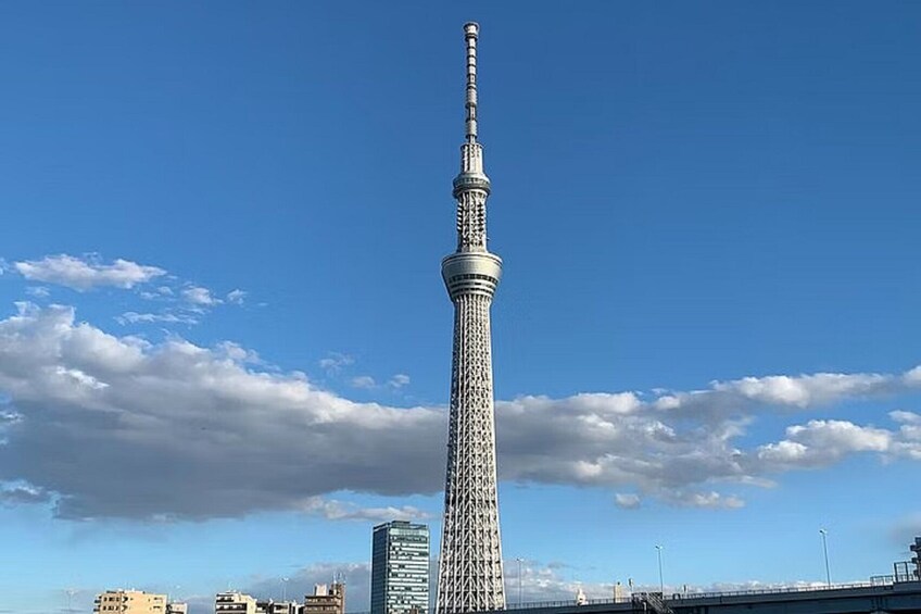 Tokyo Skytree Exploration & Asakusa History Tour (3.5 hours / English)