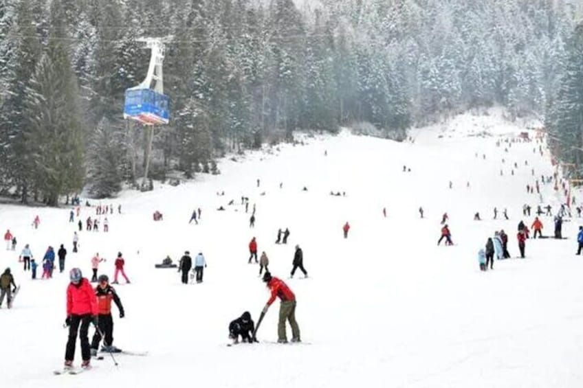 Snowmobiles Rides in the Carpathian and Winter Sports 