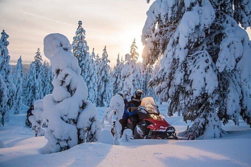 Snowmobiles Rides in the Carpathian and Winter Sports 