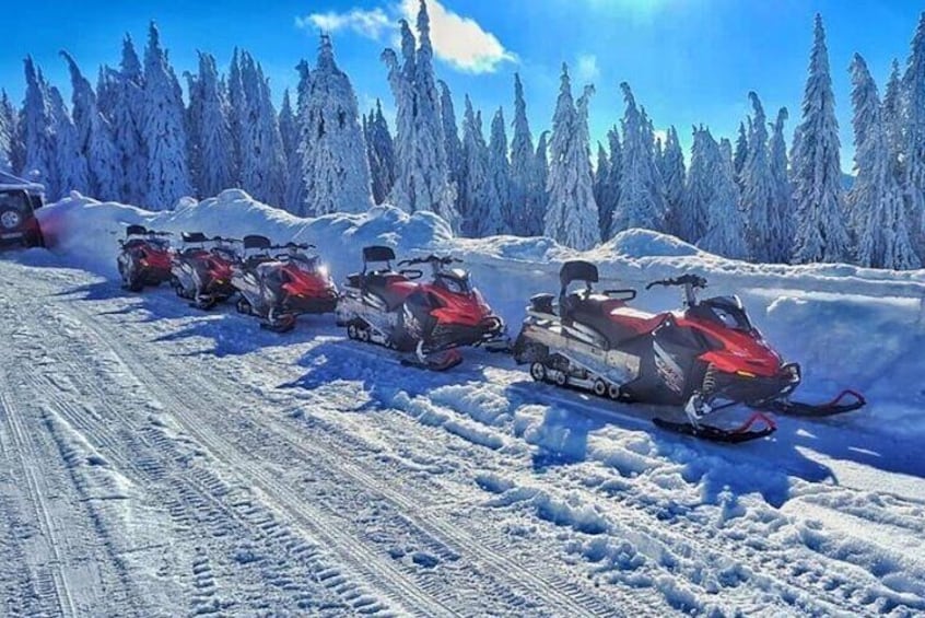 Snowmobiles Rides in the Carpathian and Winter Sports 