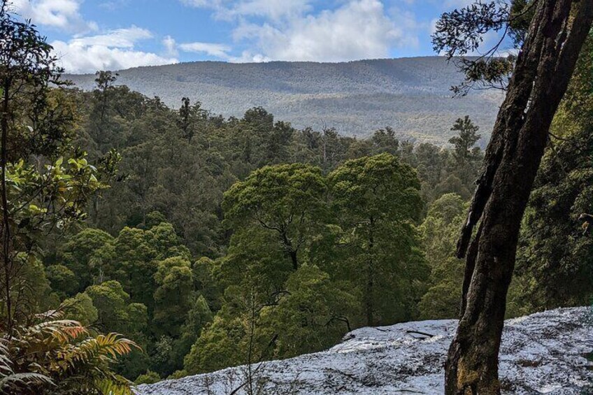 Mt. Field National Park
