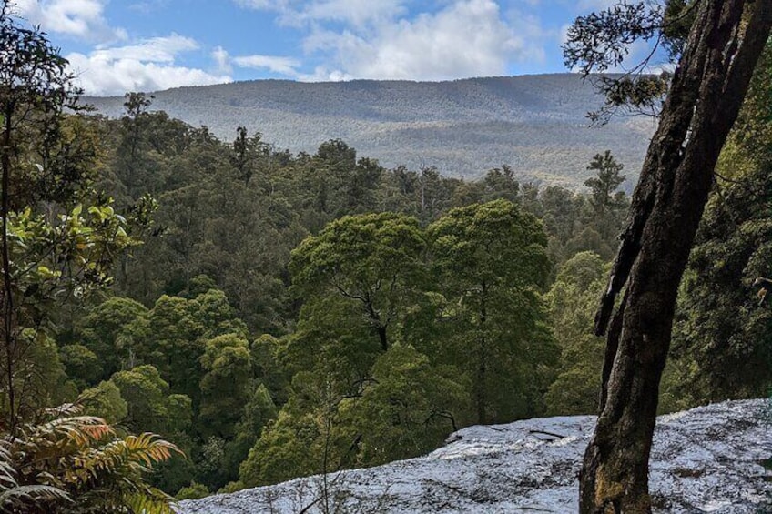 Mt. Field National Park