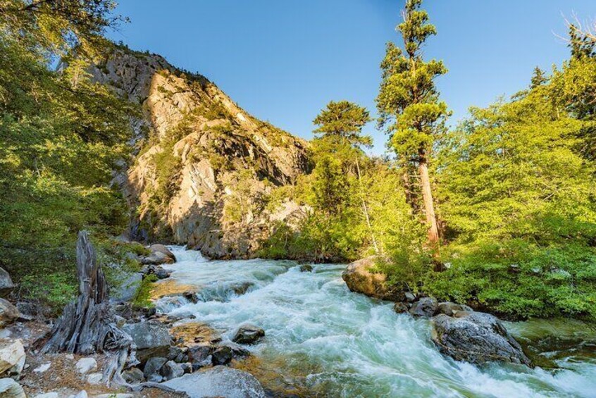 Roaring River Falls