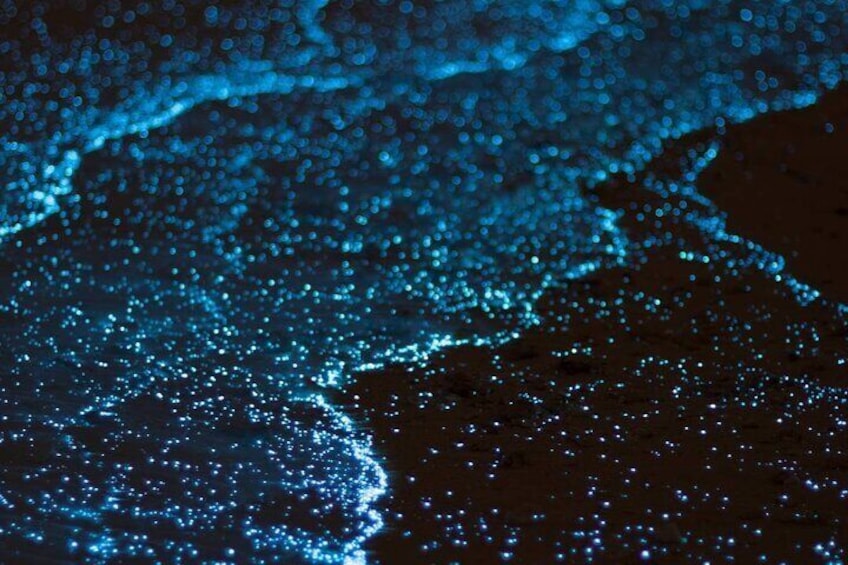 Bioluminescent Bay Adventure in Grand Cayman