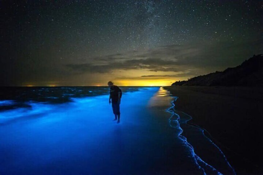 Bioluminescent Bay Adventure in Grand Cayman