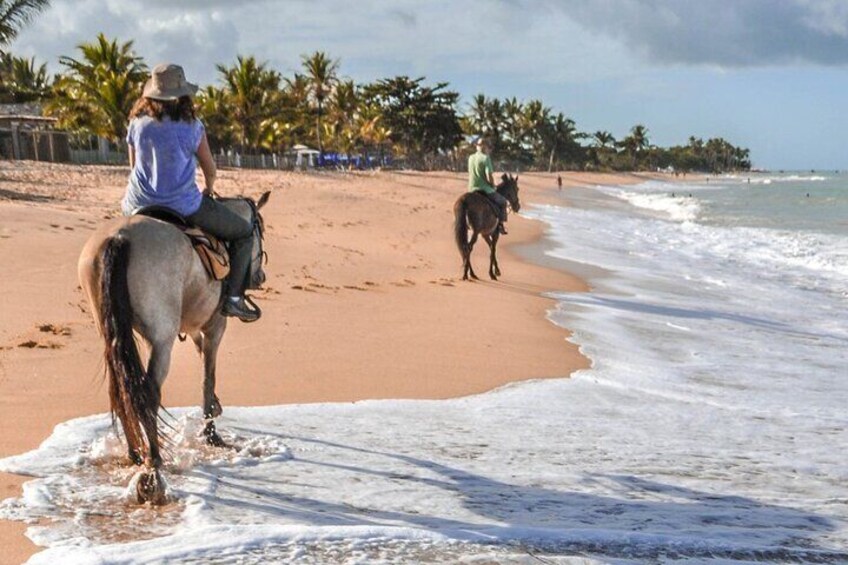 Horseback Riding on the Beaches of Punta Cana