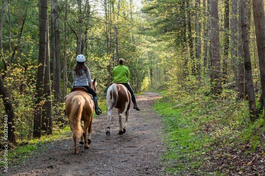 Horseback Riding on the Beaches of Punta Cana