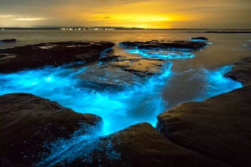 Grand Cayman Bioluminescent Bay Tour 