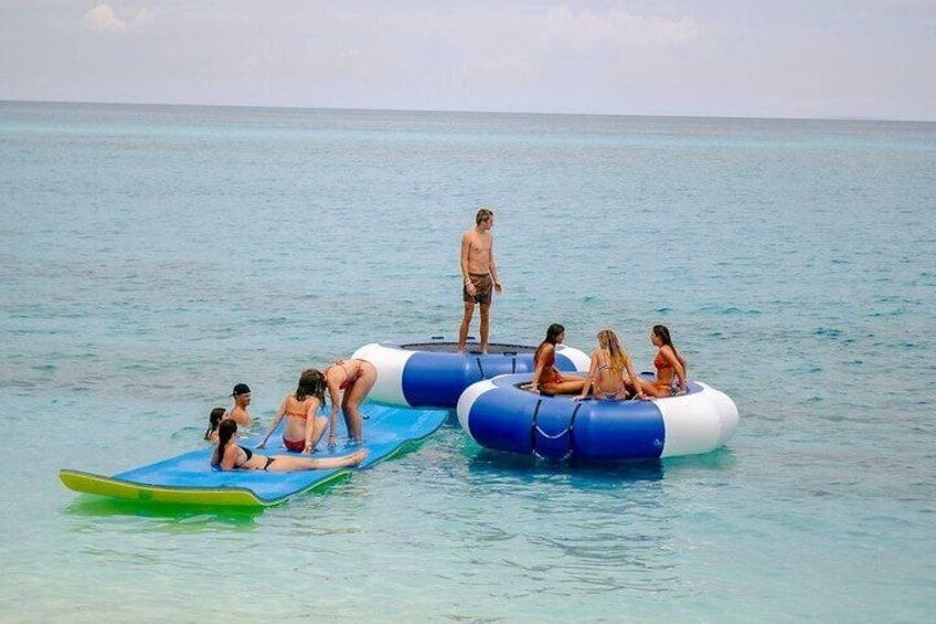 Swimming Pigs Of Rose Island & Beach Day - 3.5hr Group Tour