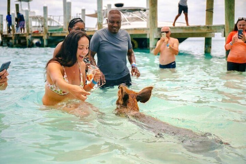 Swimming Pigs Of Rose Island & Beach Day - 3.5hr Group Tour