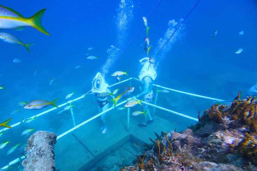 SeaTrek Tour St Maarten 