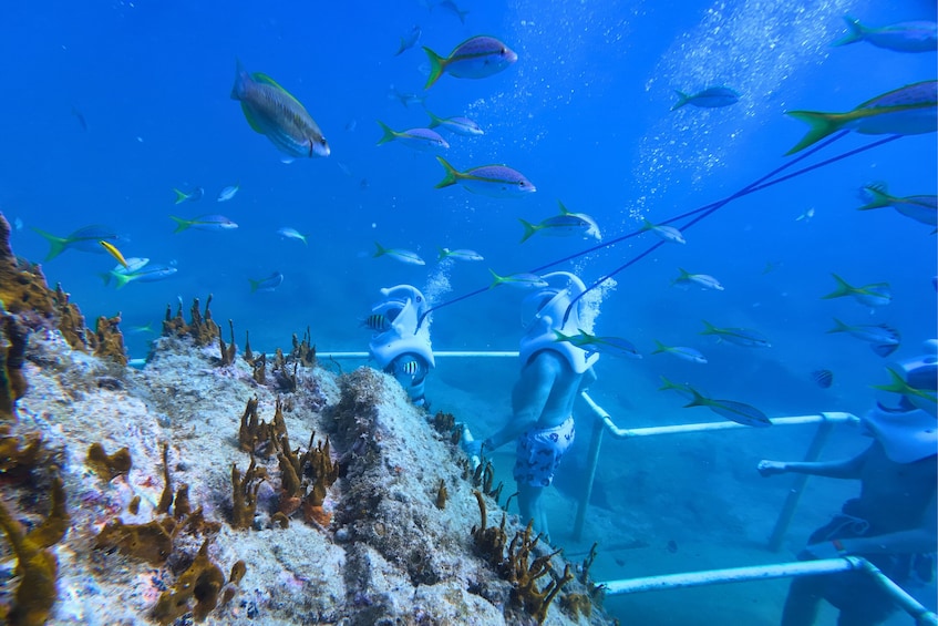 SeaTrek Tour St Maarten