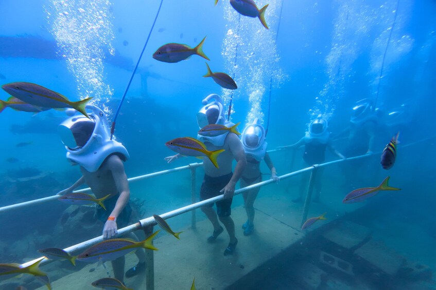 SeaTrek Tour St Maarten 